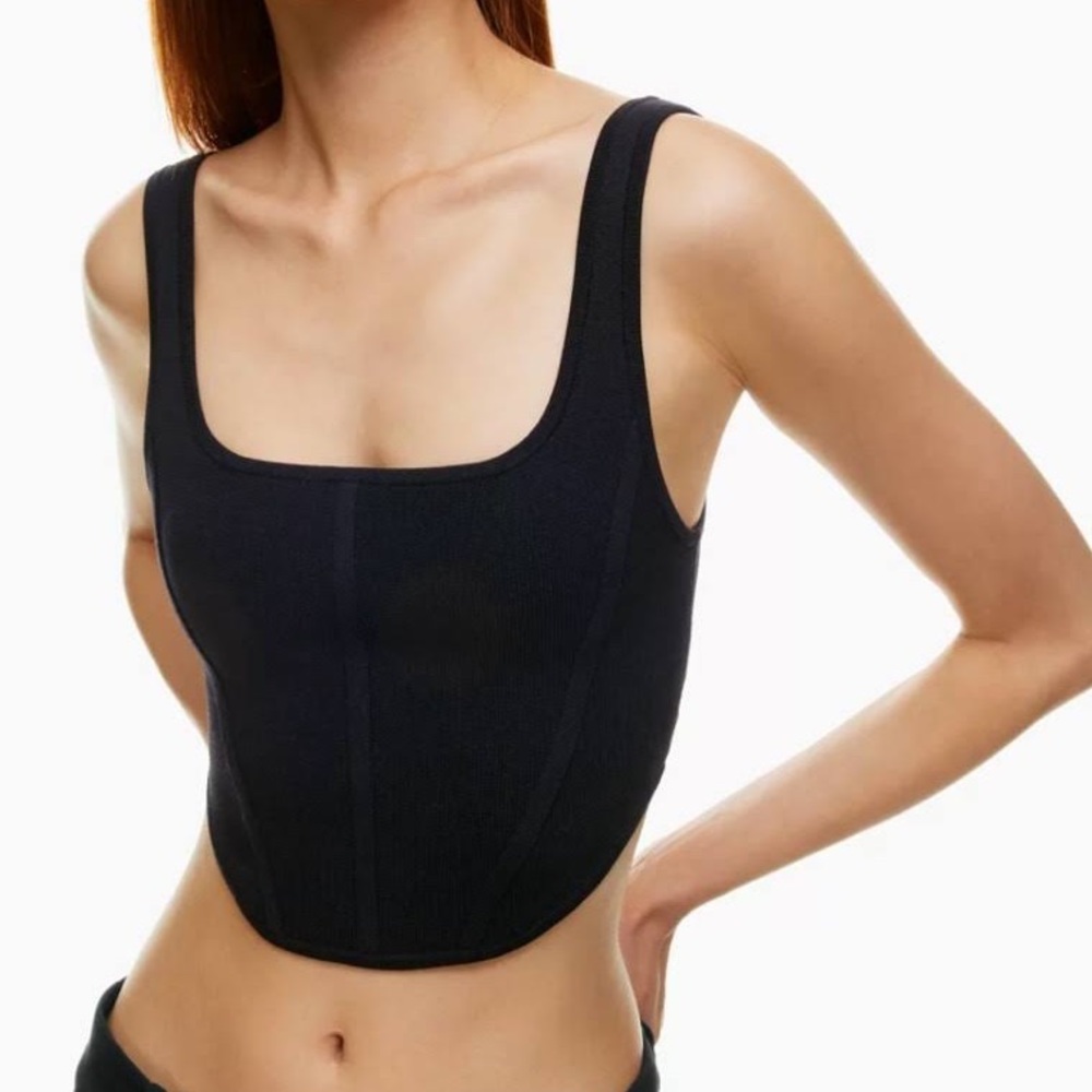 Aritzia Babaton Sculpt Knit Bustier Tank S